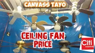 CEILING FAN WITH LIGHT & DESIGN | CANVASS TAYO SA CITIHARDWARE