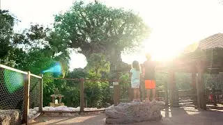 Wilderness Explorers All In One Day | Our Favorite Disney Freebie