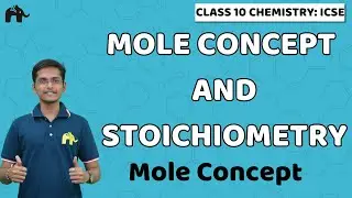 Mole Concept and Stoichiometry | Class 10 Chemistry Chapter 5 | Mole Concept