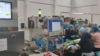 High-Precision X-Ray Inspection System for Food Packaging|Detecting Contaminants in Bagged Products