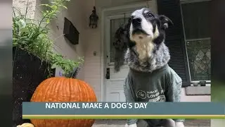 Quantrell Subaru gives back to the community with 'Make a Dog's Day'