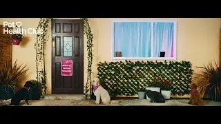 The Pet Health Club - The Club All Pets Want To Join