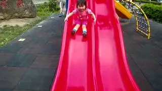 SDC11362
