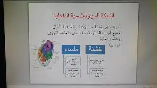 الخلية للصف العاشر