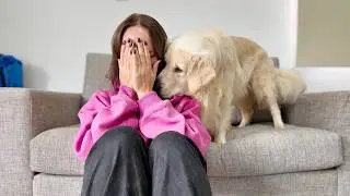 Golden Retriever Puppy Reaction to Me Crying