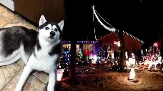 The Last Year
