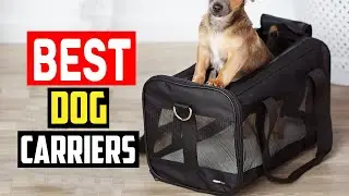✅Top 5 Best Dog Carriers in 2025
