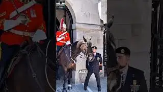 Veteran Salutes Royal Guard&hellip; Even the Horse Reacts in Respect | Heartwarming Moment