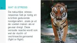 Presentatie STRESS