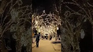 📍Ogre, Latvia #christmas #christmastree #ogre #travel #latvia