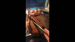 LIVE: Vendor Chopping Roast Goose | Real-Time Street Food Livestream