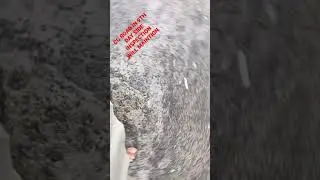 #public #money #wastage #corporator #profit #contractor #profit #mcgmroad #mumbairains2021 #citizen