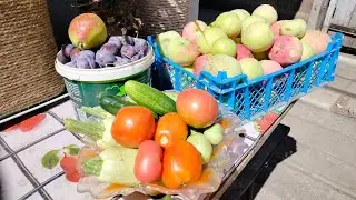 20е августа, и около +30&deg;. Остатки урожая.
