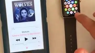 Apple Watch watchOS 4.1 Bug?