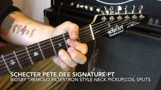 Schecter Pete Dee Signature Electric Guitar