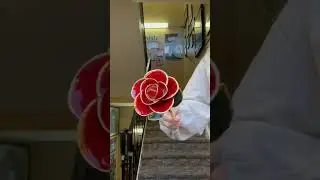 Steven Singer's Elves present our famous Gold Dipped Roses #giftgiver
