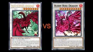 猜猜誰會贏? 還敢下來阿胡夫妮絲! [Fusion x Synchro Festival +][利希德 | ODION | 王家の神殿 vs 珠淚哀歌 | TEARLAMENTS | ティアラメンツ]