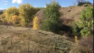 Autumn on the shortgrass prairie ecoregion of Colorado