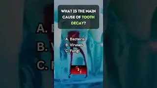 🚀 Забавный научный тест: Вы умнее своих друзей?