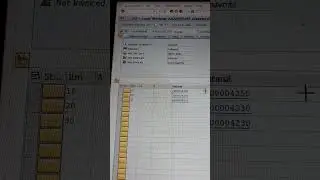 How to copy Value or Text in SAP?