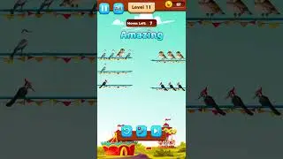 Игра-головоломка &laquo;Сортировка птиц&raquo;