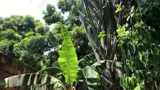 Relaxando na natureza