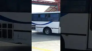 aycon cosmopolitan Blue bird #buses #bus #costarica #bluebird #cummins #mexico #busologia