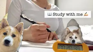 [방학 1주차]  스터디윗미 같이 공부해요 ✍🏻 Study with me (1hr, real sound)