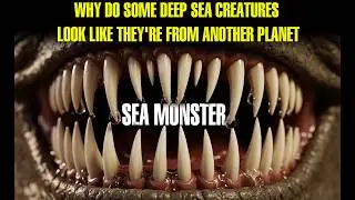 Why do some DEEP SEA creatures look like they're from another planet | kahaniyan aur kirdar