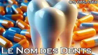 Les Noms des Dents - CQ#085