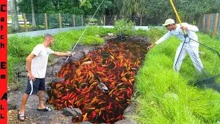 FISH in DARK MUD POND on EXOTIC ANIMAL RANCH!