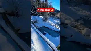 Winter Hikes #snow #hiking #peace #beautiful #cold #ice #relaxing #utah #bridge #winter #nature