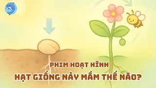 Phim hoạt hình cho bé: Hạt Giống Nảy Mầm Thế Nào