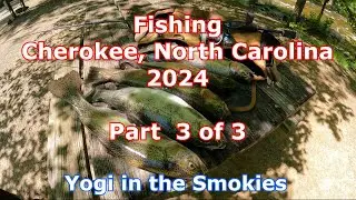 Fishing in Cherokee, NC 2024 Part 3