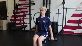 Seated Dumbbell Front Raise   HS&Iacute; lyftingar