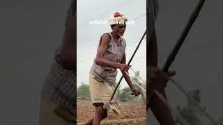 Tribal farming 🌿india #shorts #farming