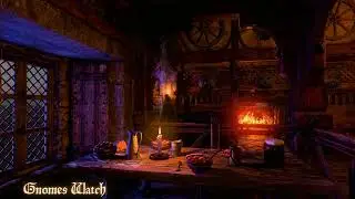 - Gnomes Watch -