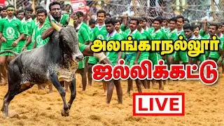 Alanganallur Jallikattu 2026 Live | Pongal Bulls Taming from Tamil Nadu | அலங்காநல்லூர் ஜல்லிக்கட்டு