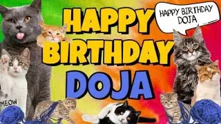 Happy Birthday Doja! Crazy Cats Say Happy Birthday Doja (Very Funny)