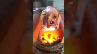 【七輪】のどぐろの炭火焼がうますぎる！　#asmr #seafood #bbq