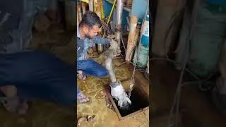submersible water pump testing/submersible pump motor testing maltimeter