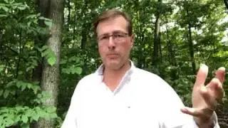 Degradable vs Biodegradable vs Compostable