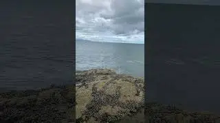 284 Salterstown Piers ROI #beach #beautiful #ireland #shorts #fun