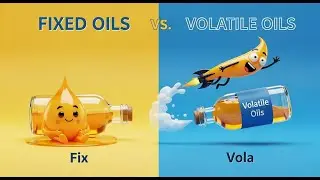 4 Fixed Oils Vs  Volatile Oils