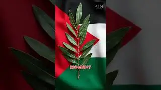 November 22, 1974: UN Acknowledges Palestine&rsquo;s Right to Sovereignty #shorts  #history