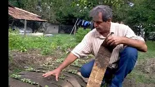 Como Controlar o Mato na Horta com o Uso do Papelão