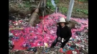 Plastic pollution (BPA) Boyan Slat The Ocean Cleanup