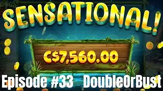 Episode #33 - Frogs and Bugs - We have 30 minutes to double or bust. Slots, jackpots, and bonus.