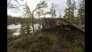 På orrhaneleik