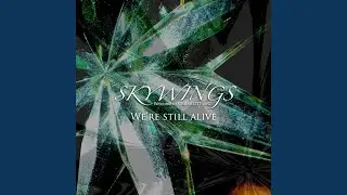 We're still alive